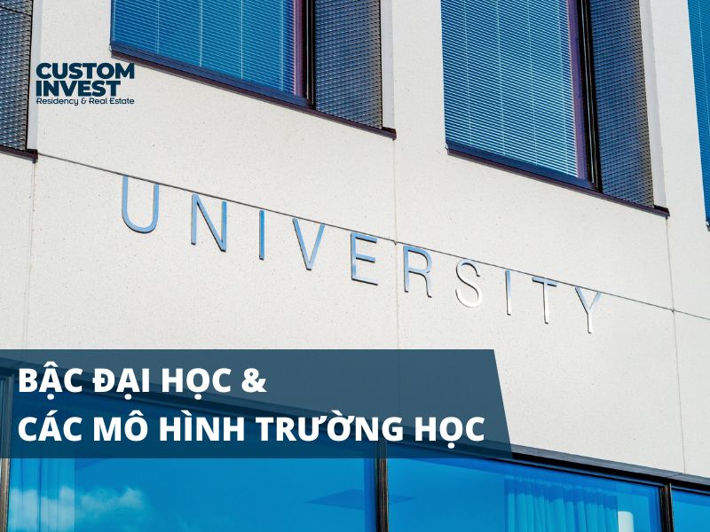 Bậc đại học và các mô hình trường học